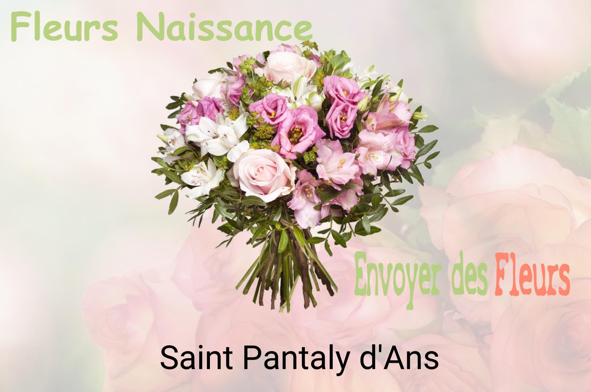 Bouquet de fleurs de naissance livré à Saint-Pantaly-d'Ans